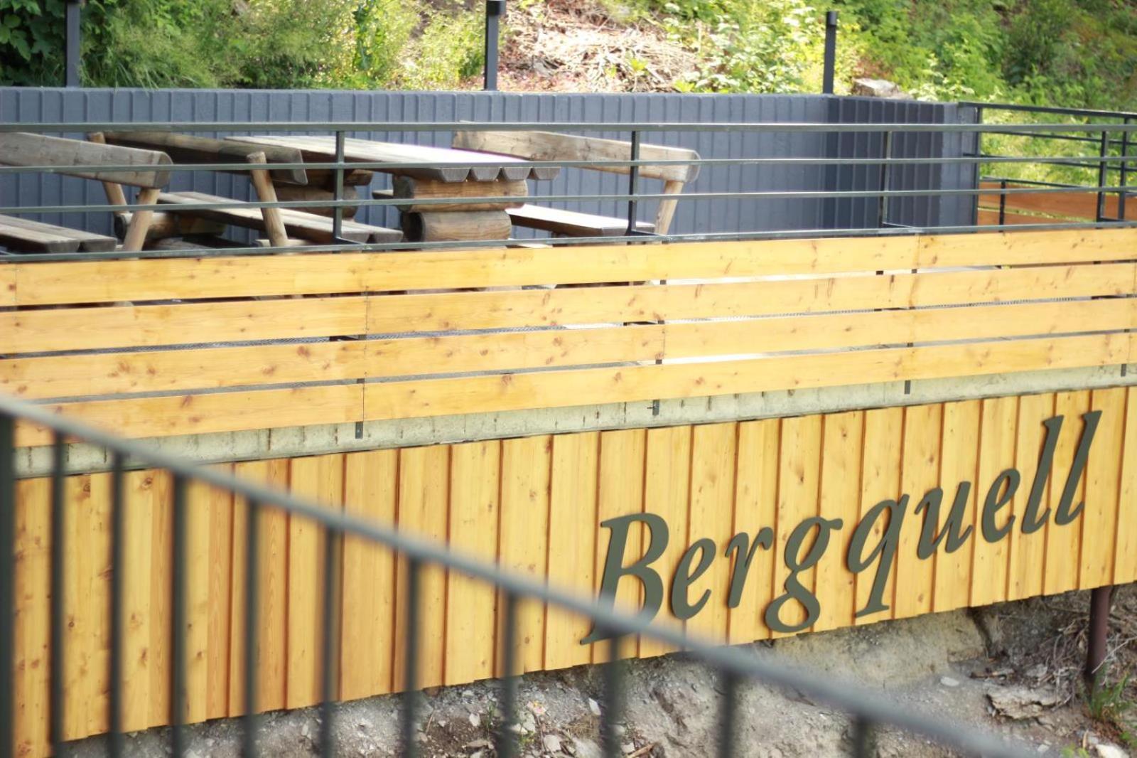 Haus Bergquell App 4 Apartment Willingen  Exterior photo